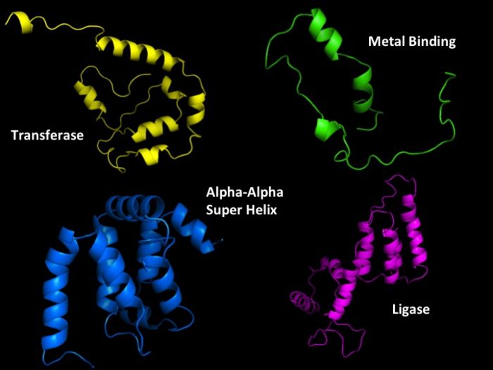 Structural Predictions of PCAF_N Domain.