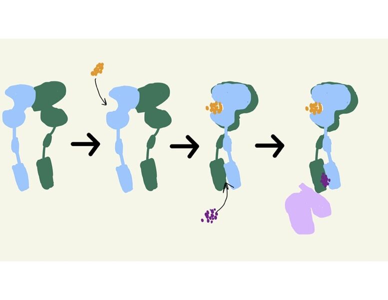 Image:Transformations.jpg