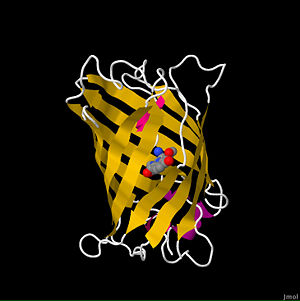 Green Fluorescent Protein,1ema