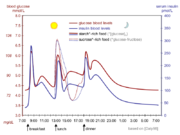 Schematic of daily changes of blood sugar