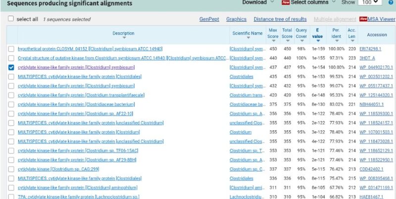 Image:Blastresults.jpg