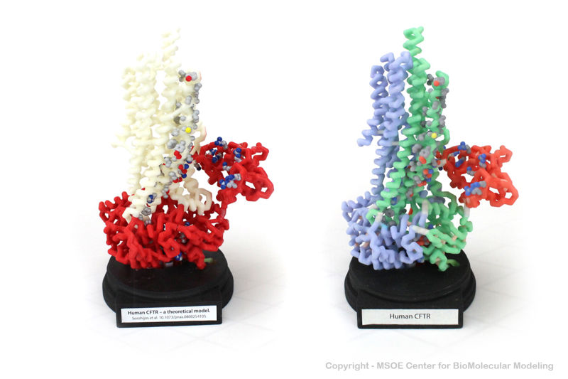 Image:Cftr 1 centerForBiomolecularModeling.jpg