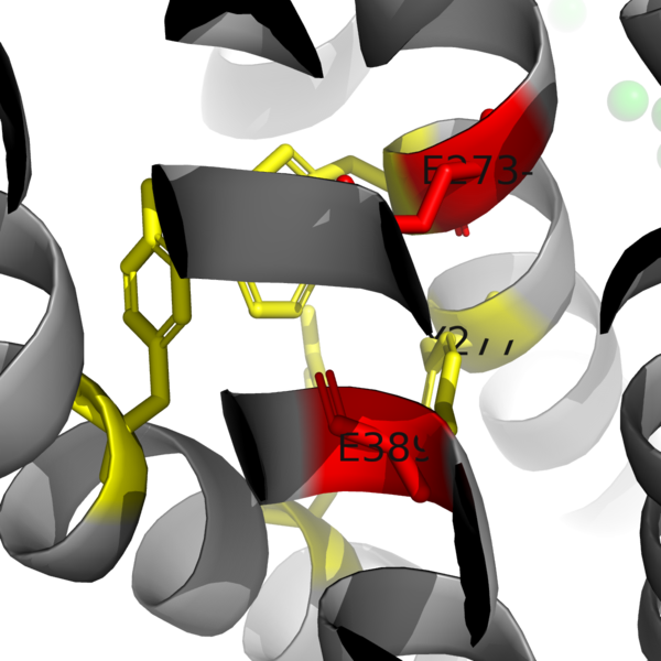 Image:Figure3 ligand view.png
