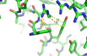 This image depicts two cation-π interactions between Arg and Tyr or Trp. The energetic significances are -1.22 and -6.55 kj/mol respectively.  3otb