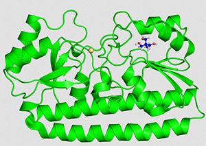 "3D structure of PsaA with 2-AMINO-2-HYDROXYMETHYL-PROPANE-1,3-DIOL (tris) and cadmium  "
