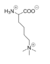 Figure 5: Structure of Tri-methylated lysine, which chemically inhibits LSD-1 activity.