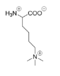 Figure 4: Structure of Tri-methylated lysine; chemical inhibitor of LSD-1 activity.