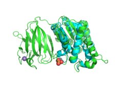 Figure 1. YxiM (green) aligned with 1J00 (blue), RMSD = 2.692.