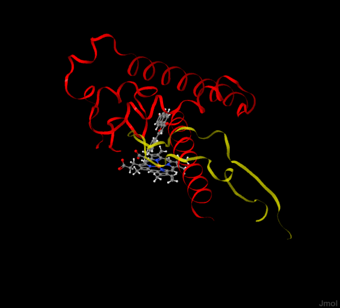 Image:2hi4pt2.pngj