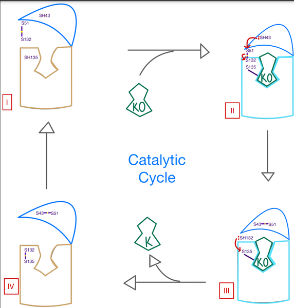 Image:Catalytic Mech Pic.png