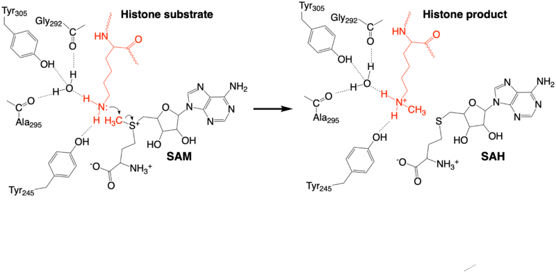 Image:KMT mechanism4.png