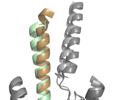 Figure 2. Overlay of GIP (tan with dark gray GIP-R) and Tirzepatide (green with light gray GIP-R) bound to GIP-R