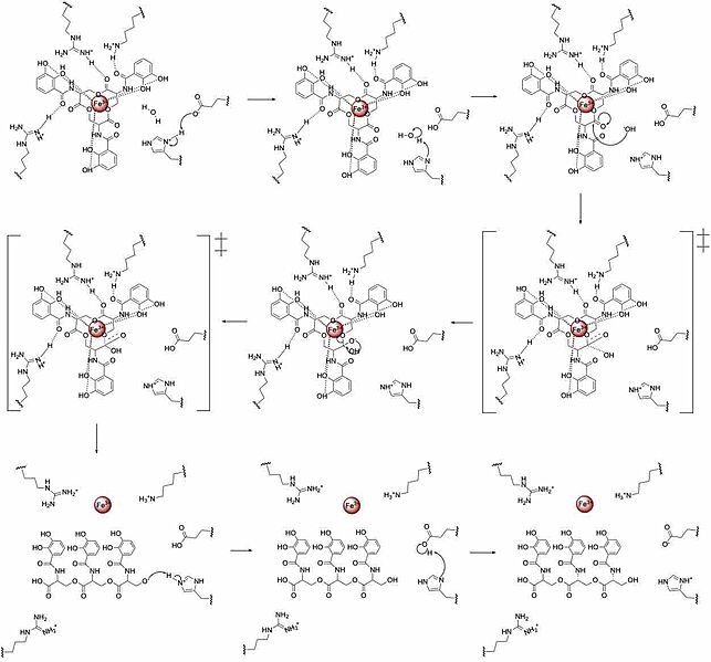 Image:Syn F4Mechanism.jpg