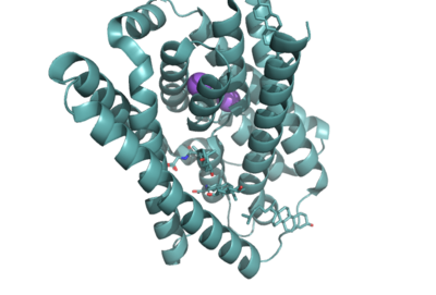 Figure 1. NTCP structure with both Na ions and bile salts bound. PDB file 7ZYI.