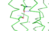 Ser 152-Ser 390 interaction