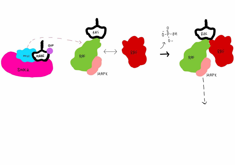 Image:Image (3).png