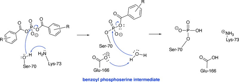 Image:Inhibition Mechanism.png