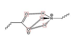 (Fig.2) Salt bridge interaction between LYS and Glu or Asp