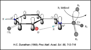 Dunathan's Stereoeletronic Hypothesis, 1966