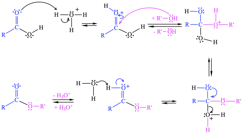 Image:Esterification.png