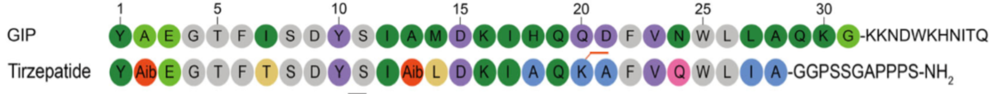 Figure 1. Sequence alignment of GIP and Tirzepatide