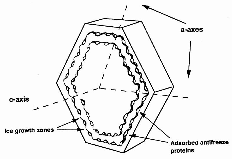 Image:C a axes.jpg