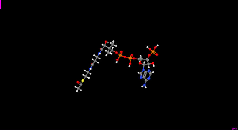 Image:CoA +Acetyl group.jpg