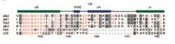 Figure 5, (Lucet, 2005)