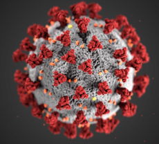 Overall view of the COVID-19 virus. Note the spikes that adorn the outer surface, red, which impart the look of a corona surrounding the virus. (CDC/Eckert & Higgins)