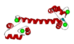 Crystal Structure of Calmodulin 1cll