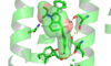 Figure Legend