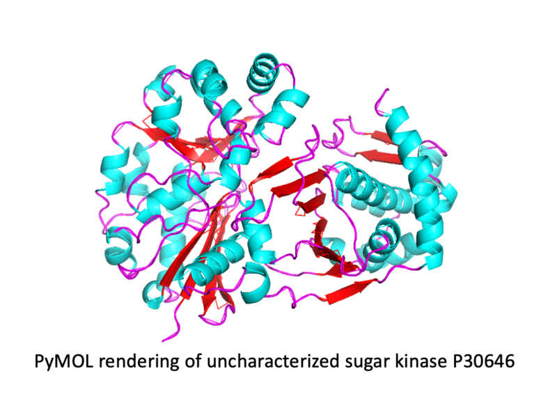 Image:Structure P30646.png