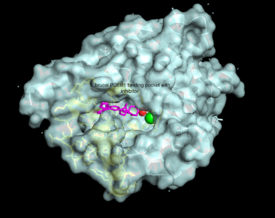 TbPDEB1 bound to ligand