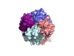 Figure 2 Representation of the calcium fitting into the selectivity pore.