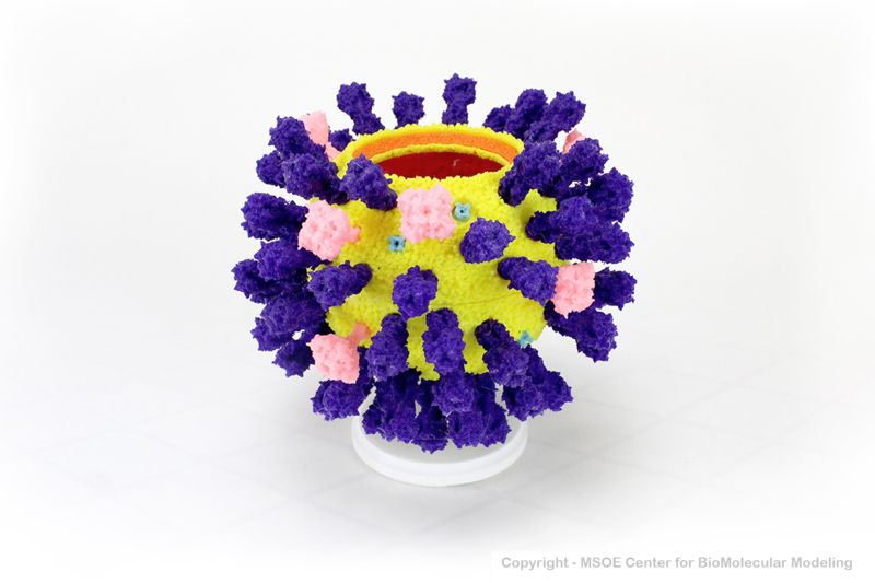 Image:HaVirus1 centerForBioMolecularModeling.jpg