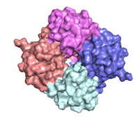 Figure 2: Symmetry and organization of subunits from looking down into the uniporter from the inner mitochondrial membrane[2] 6DT0