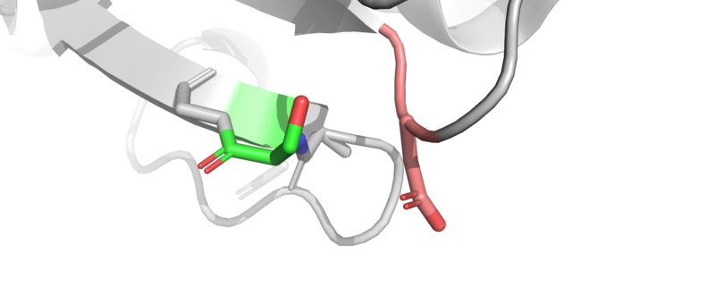 Image:WT (1).png