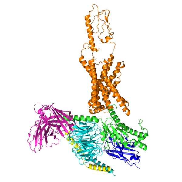 Image:Gip.png