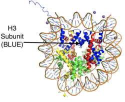 Figure 1: The crystal structure of a histone core octamer (each subunit in a different color) bound to DNA. PDB:5y0c