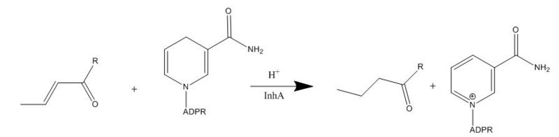 Image:Mechanism-InhA.JPG