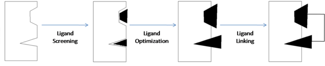 Fragment-Based Drug Discovery (Adapted from Fig. 1)