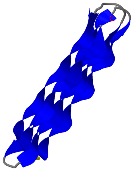 Image:2pne.png