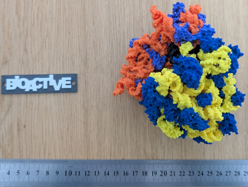 Image:Bacterial Ribosome multimaterial FDM.png