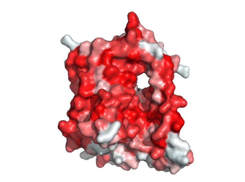 Image:Hydrophobicity pore.jpg