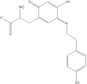 Residue 382 is a tyrosine residue, modified into topa-quinone, shown here bound to tyramine.