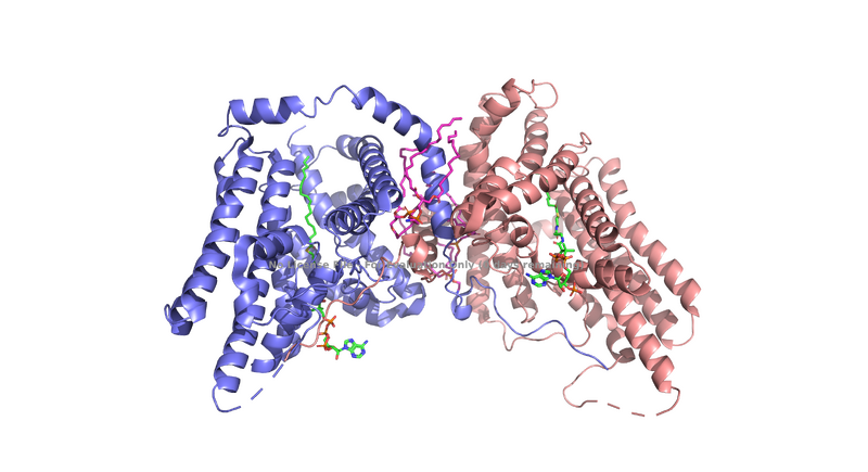 Image:Dimer.png