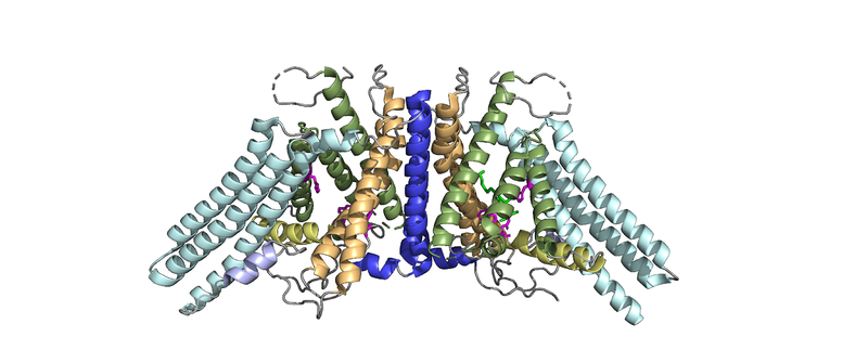 Image:Dimer image.png
