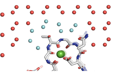 The ice formation of water (red spheres) being scrambled (blue spheres) by the protein