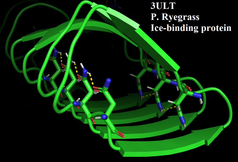 Image:IceBind 6.png