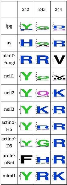 Image:PlantSpecific.jpg